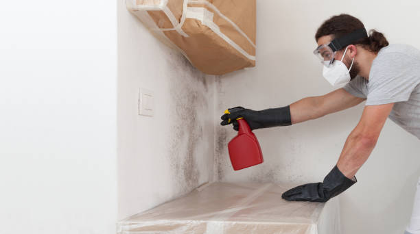 Professional Crawl Space Mold Removal technician working in Spring Lake, MI