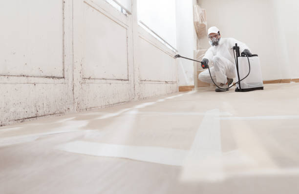 24/7 Emergency Crawl Space Mold Removal experts in Spring Lake, MI